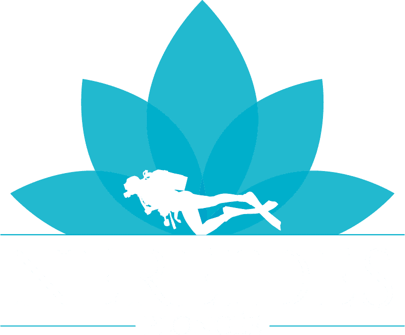 néréides plongée