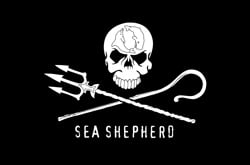 sea shepherd