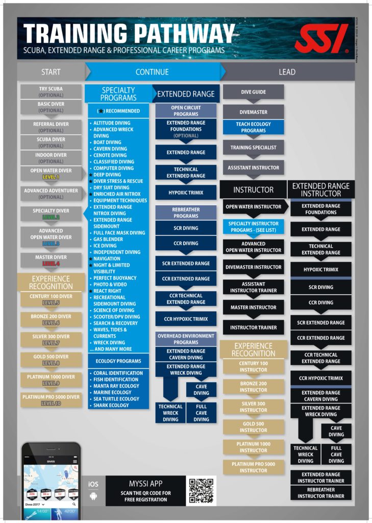 475350_SSI_Training_Path_Poster_2020_EN