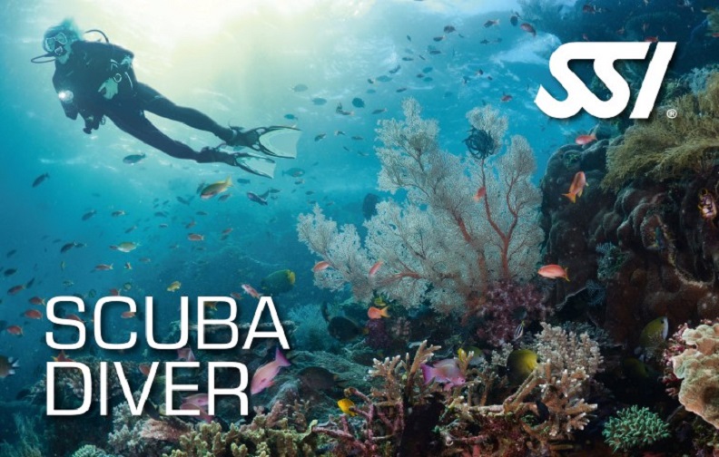 Scuba Diver Scuba Diver