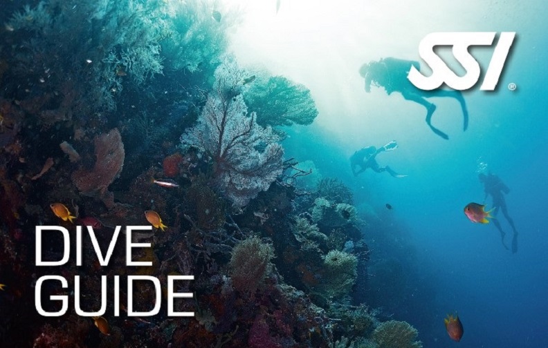 Dive Guide Dive Guide
