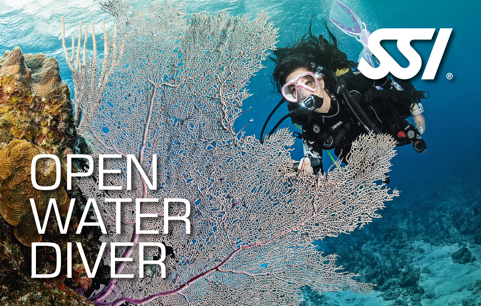 Open Water Diver Open Water Diver
