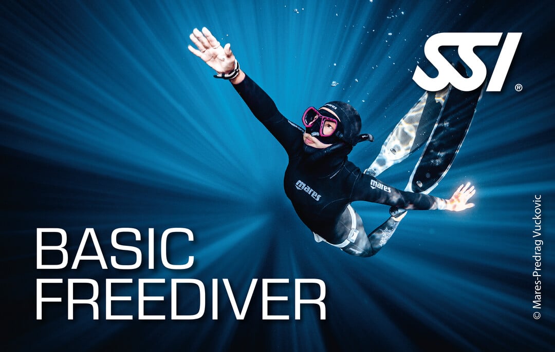 Basic Freediver Néréides Plongée Basic Freediver SSI