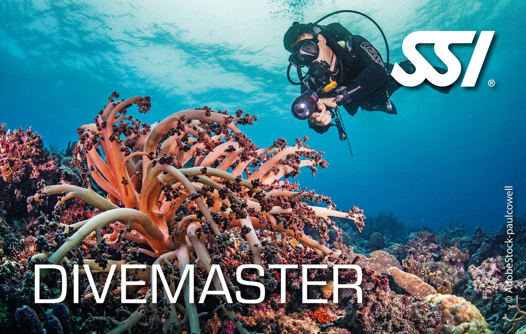 Divemaster Divemaster