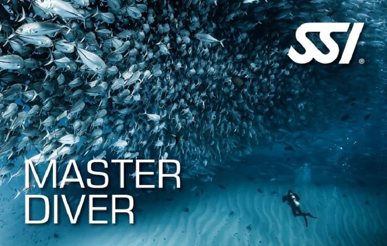 Master Diver Master Diver