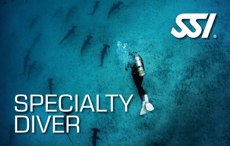 Specialty Diver Specialty Diver